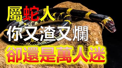 紫微方位 蛇豬相沖化解